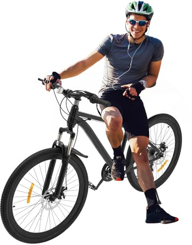 Linanty 26-Zoll Mountainbike, 21-Gang Schaltung, Erwachsenenfahrrad für Männer und Frauen, Mountainbike mit Vorderradfederung, Scheibenbremse, schwarz