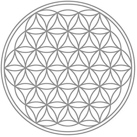 BLUME DES LEBENS - IN - Geometrie - Wandtattoo Wandaufkleber Sticker Aufkleber (80 (B) x 80 (H) cm, Grau)