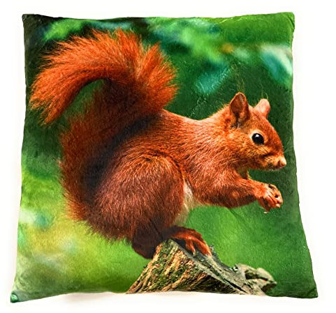 Onwomania Eichhörnchen Baumhörnchen Plüsch Kissen für Sofa oder Bett als Deko, Dekoration oder Kuschelkissen 35x35 cm