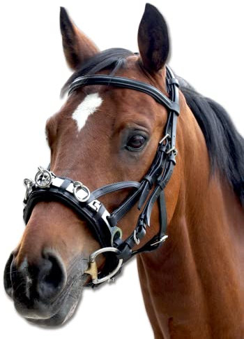 WALDHAUSEN Waldhausen Kappzaum, Leder, WB, schwarz