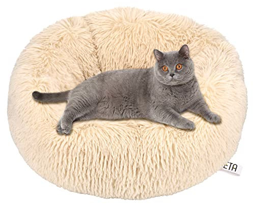 Queta Katzenbett Schöne Tierbett, Klein Hund Bett Haustierbett Plüsch Weich Runden Katze Schlafen Bett (70cm, Beige)