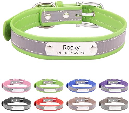 Reflektierend Halsband für Hunde aus Leder Personalisierte Hundehalsband mit Namen Gravur Grün Halsband mit Namenschild für den mittleren Hund,Hundehalsbänder M