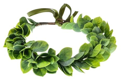 Grünes Blatt Blumenkrone,Haar Garland,Blumenkranz,Blumenkranz Haare,StirnBand,Blumenkranz Blume Krone Stirnband,Blume Krone(E)