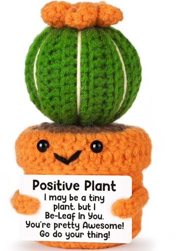 Funny Positive Crochet Cactus Emotional Inspirational Support Cheer Up Appreciation Graduation Gifts for Her Teachers Small Cute Handmade Cactus for Women Teen Friends Birthday Motivational Presents