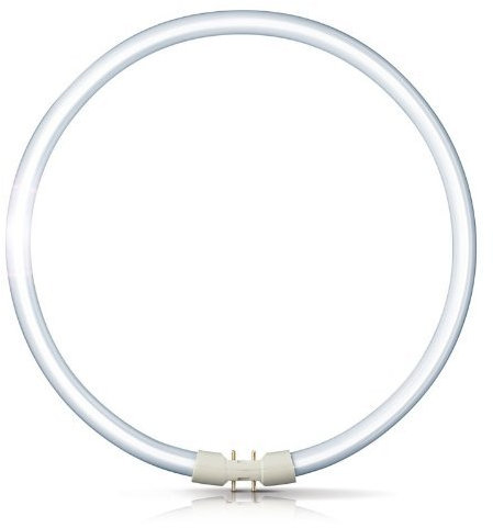 FC40w/T5 - T5 Circular Tube 40W - Colour Warm White - 830 - GX13 Cap