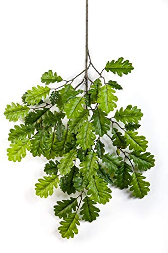 artplants.de Branche de chêne Artificielle, 8 Glands, 55 Feuilles, Vert, 60cm - Branche décorative - Feuilles artificielles