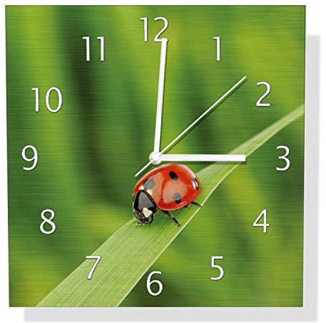 Wallario Design Wanduhr Marienkäfer auf grünem Blatt aus Aluverbund, Alu-Uhr Größe 30 x 30 cm, weiße Zeiger mit Metalloptik