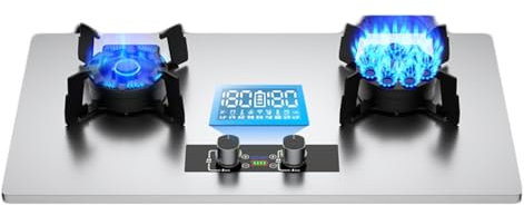 Propane Stove,2 Burners Portable Propane Stove,Stainless Steel Gas Cooktop,Maximum 29002BTU for Food Trucks and Family Restaurants (Color : NG, Size : Style 2)