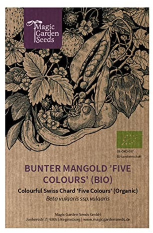 Bunter Mangold 'Five Colours' (Beta vulgaris ssp.vulgaris) Bio - ca. 100 Samen