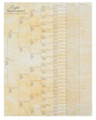 Family Tree Chart To Fill In, Compact 8 Generation Pedigree Chart, Blank Ancestry Yo Genealogy Fillable Build Chart To Chart