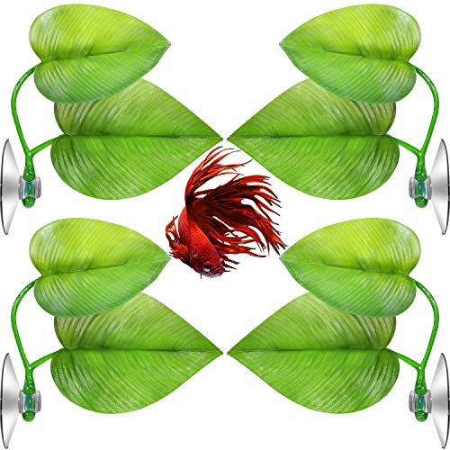 4 Pièces Hamac Feuille de Lit Betta pour Poisson Betta, Spot de Repos Léger et Réaliste, Pas de BPA, Pratique, Confortable et Sûr (Double Feuille)