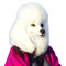 CreepyParty Halloween Kostüm Party Tierkopf Latex Maske Pudel Hund Weiß