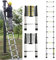 3.8 m Extendable Telescopic Loft Ladder, Robust Stainless Steel, Single, Multi-Purpose with 9 Rungs, 330 lb/150 kg Load Capacity EN131