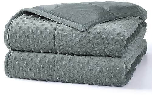 Alomidds Weighted Blanket (60x80,15lbs Queen Size - Grey), Weighted Blankets for Adults and Kids, Cooling Breathable Soft and Comfort Minky, Heavy Blanket Microfiber Material with Glass Beads