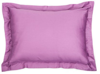 Silber Farn Decor 50,8 x 66 cm Solid Violet Standard Sham Kissenbezug