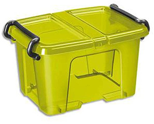 Boite de rangement plastique avec couvercle capacité, 6 litres colori, vert Bambou