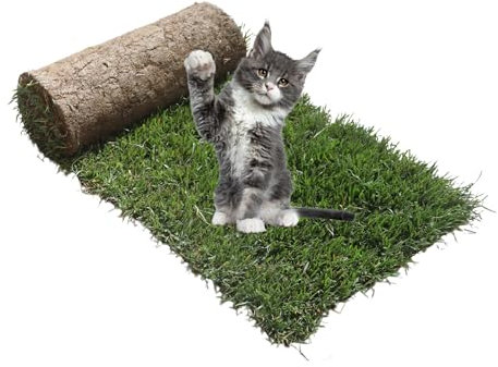 PetZolla Gatto Ricarica S - Cuccia gatto estiva in vero prato con Erba gatta, Ricambio facile da sostituire per il Kit Petzolla gatto S, Cuccia per gatti da interno dura fino a 3 mesi