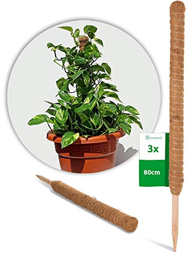 Novatool Lot de 3 bâtonnets de coco pour plantes - 80 cm - Diamètre : 45 mm - Professionnel - Extensibles - Fibre de coco naturelle - Bâton de coco pour plantes monstera - Plante de lierre - Moss pole