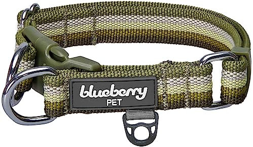 Blueberry Pet 3M Reflektierendes Hundehalsband, verstellbares Hundehalsband mit mehrfarbigen Streifen, Olivgrün, Nylon-Haustierhalsbänder für Hunde und refflektives Hundehalsband für mittelgroße Hunde
