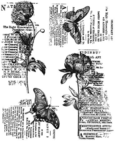 Botanic College Stempel für Kartenherstellung, Scrapbooking und gemischte Medien, CMS447, Grau, Einheitsgröße