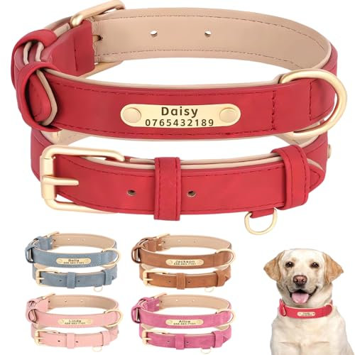 SEOUGEE Personalisiertes Hundehalsband aus Leder, weich gepolstert, strapazierfähig, mit individuellem Namensschild, verstellbar für kleine, mittelgroße und große Hunde (S, Purpurrot, 23–32 cm)