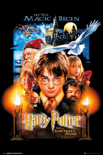 Harry Potter Close Up Stein der Weisen Poster (61cm x 91,5cm)