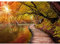 Runa Art Papier Peint panoramique Pont sur le lac 352 x 250 cm Toison Mur XXL Moderne Décoration Murale Salon Chambre á Coucherr Bureau Salle Orange 9053011b