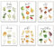 ZHONGYUTONG Lustiger Küchen Kunstdruck-Gemüse Käse Nuss Obst Kräuter Pasta Poster Lebensmitteltabelle Leinwand Wandbilder Esszimmer Wanddekoration Geschenk Satz von 6 (40x60cm Kein Rahmen)