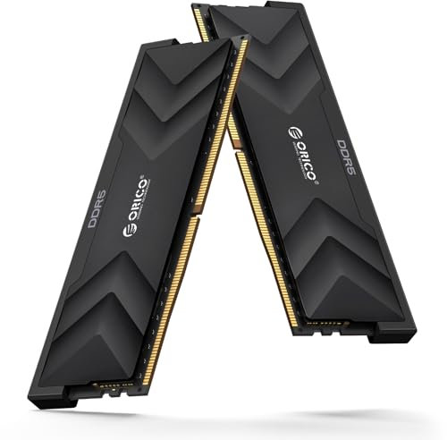 ORICO Raceline Champion DDR5 RAM 32GB (2x16GB) 6400MHz CL32, Memoria para Escritorio, Baja Latencia, Overclocking en Plataforma Dual, ON-Die ECC, UDIMM Sin Búfer, Optimizada para Gaming–Negro H500