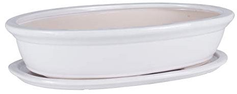 botle Bonsai Schale Baum Mini Garten Keramik Ton Blumentopf Blumenschale Untersetzer Weiss 6 Grosse (45)