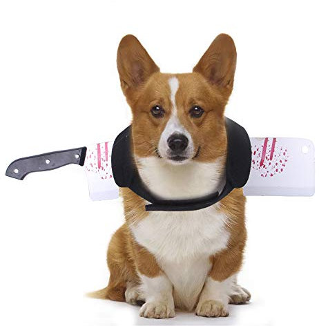 Eighty Dog Halloween Costumes Pet Halloween Costumi Pet Pet pettorale Cosplay realistico divertente costume da cucina coltello vestito per cane 19,6 x 14,17 pollici (taglia S 70 g)