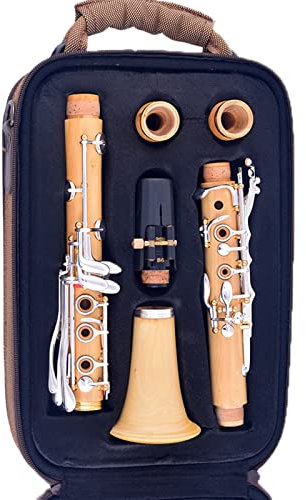 Hochwertige Bb-Klarinette Aus Buchsbaumholz Professionelle Klarinette Bb 18 Tasten SIB Klarnet Klarinette Holzblasinstrument