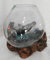 Vase en Verre soufllé sur Racine de Bois, Hauteur Variable, modèle Unique (Hauteur Environ 12cm). Choix sur Photos ENVOYEES Suite A Votre Commande avec Les Dimensions. Vendeur Francais.