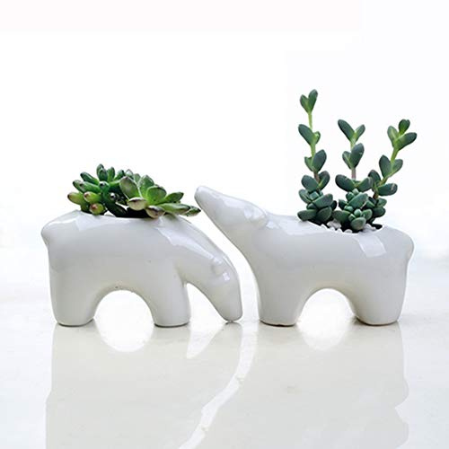 Egurs Animals White Keramik-Blumentopf Sukkulenten-Blumentöpfe Eisbär Design Blumentöpfe Pflanzgefäße 1Pair = Bow down + Look up