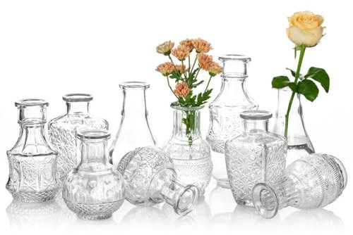 Glasvase Für Blumen 5er-Set Klare Vintage Bud Vase Süße Mini-Erbsenvase Für Tischdekoration Innendekor Hochzeit (klar, 10)