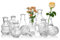 Glasvase Für Blumen 5er-Set Klare Vintage Bud Vase Süße Mini-Erbsenvase Für Tischdekoration Innendekor Hochzeit (klar, 10)