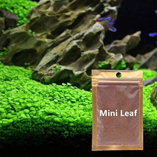 LUKAWES 2 Pack Aquarium Plants for Fish Tank, Easy Growing, Real Carpet Decor for Fish Tank/Terrarium
