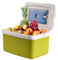 6/9 Litre Large Cooler Box With Carry Handle & Lid,Insulated Food Box With 4 Ice Packs Ideal For Camping Picnics Beach Trips Perfect To Keep Food Drinks Beers Etc Cool