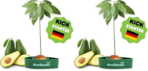 Avoseedo das Besondere Garten Geschenke - Pflanzen Sie Ihren Eigenen Avocadobaum. Kleine Geschenke Für Männer Und Frauen. Die Neue Klein Dekoration Für Ein Schöneres Zu Hause. Das Komplette Pflanz Set
