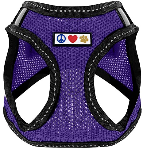 Pawtitas Pet Reflektierendes Hundegeschirr Geschirr zum Hineintreten oder Umlegen, Komfortsteuerung, Trainieren Sie den Spaziergang Ihres Welpen/Hundes - Extra Extra Klein Hundegeschirr Violett