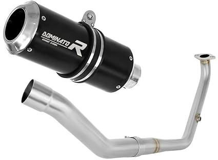 DOMINATOR Auspuffanlagen Schalldämpfer GP BLACK kompatibel mit YZF R125 2021-2022