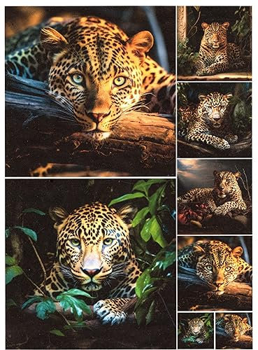 Josys Bastelmärchen Reispapier A4 Strohseide Decoupage Serviertentechnik Leopard im Dschungel RE4523