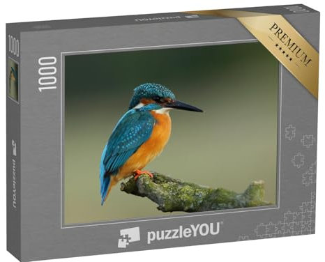 puzzleYOU: Puzzle 1000 Teile „Eisvogel, Alcedo atthis“ – aus der Puzzle-Kollektion Vögel, Eisvogel