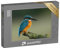 puzzleYOU: Puzzle 1000 Teile „Eisvogel, Alcedo atthis“ – aus der Puzzle-Kollektion Vögel, Eisvogel