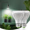 SANSI 10W LED Pflanzenlampe Vollspektrum für Zimmerpflanzen, 150W Äquivalent LED Grow Light E27, 4000K Grow Lampe für Sämling, Garten, Blumen, Gewächshaus, Hydrokultur, Gartenbau (2 Stücke)