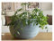 Gardening Naturally Fora Flowerpots, Stylish and Durable Plant Pots for Indoor and Outdoor Use (Fora Bowl 40cm - Grey)