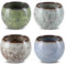 Lot de 4 tasses à thé japonaises, en céramique, 110 ml, tasses à expresso, tasses asiatiques modifiées au four, tasses à thé multicolores, petites, sans anse