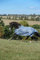 Bucas Buzz-off Classic Cut, Fliegendecke Rückenlänge 115 cm, Silber/Blau