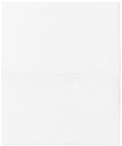 Paxanpax Universal Non Original Cut to Size Vacuum Cleaner Microfilter, 255 x 202 mm, White