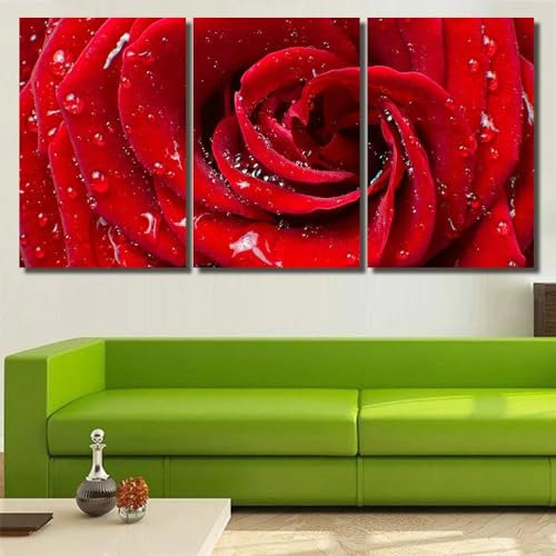 QYYAMDEQ Tableau Decoration Murale Avec Cadre 3 Panneau Tableau Mural Rose rouge fleurie et gouttelettes de rosée 3 Pièces Tableaux, Posters Et Arts Décoratifs Tableau Peinture Sur Toile